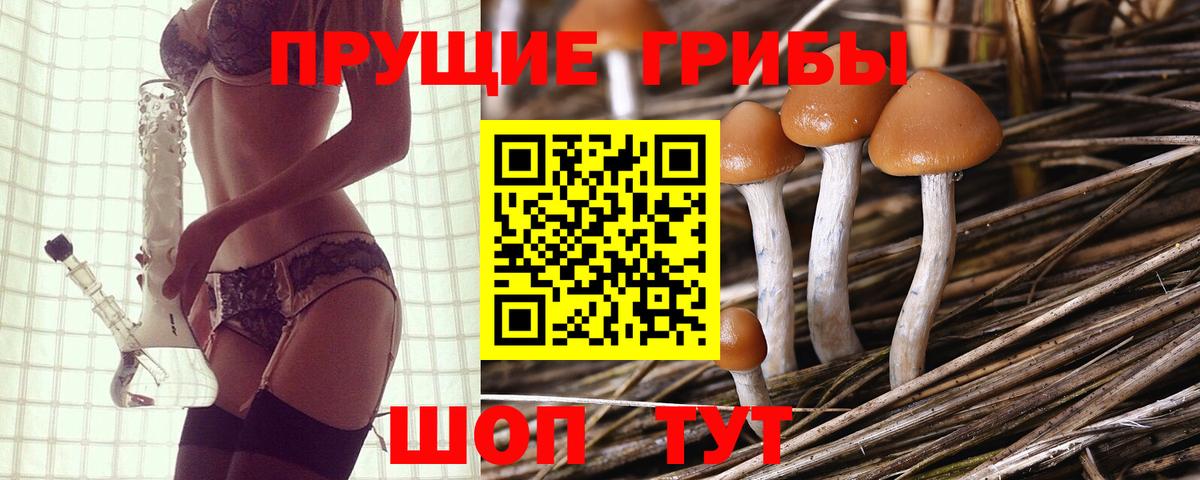 Галлюциногенные грибы MAGIC MUSHROOMS Узловая