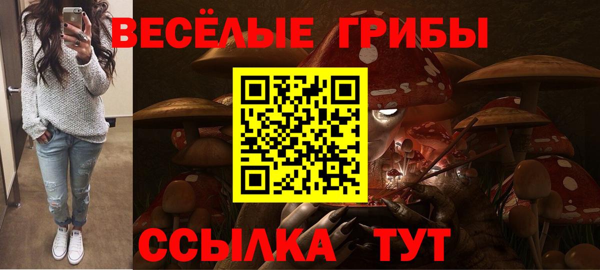 продажа наркотиков  Псилоцибиновые грибы прущие грибы  Вход с VPN  Узловая 